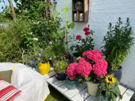 bd6b62f5-63fe-4f8f-a9cb-f62234a73db6